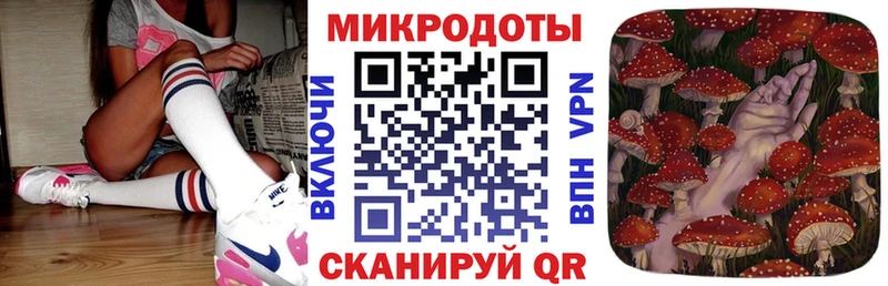 цена   Олёкминск  Псилоцибиновые грибы Psilocybe 